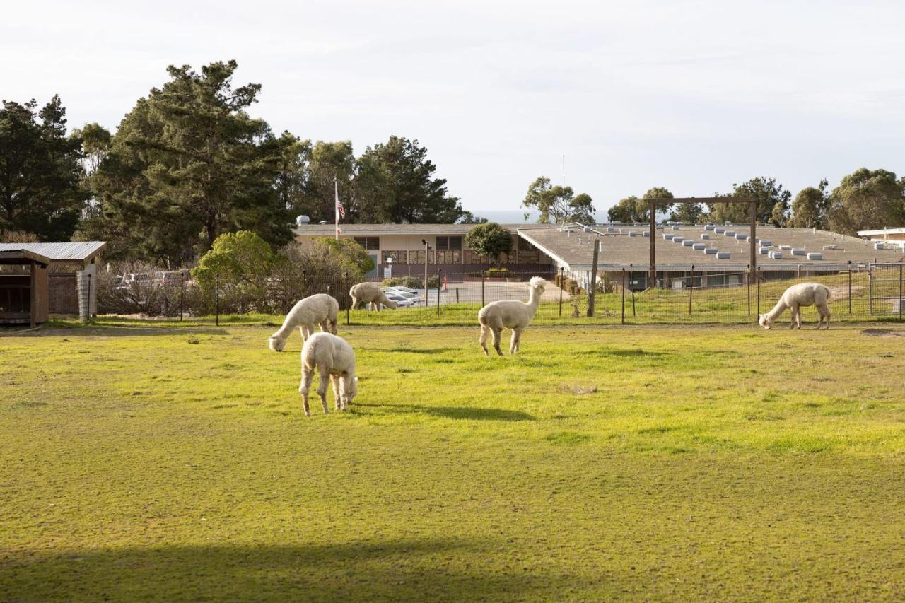 Montara Beach Mountain Escape Exterior foto